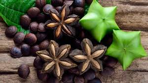 Premium Sacha Inchi seeds ready for planting